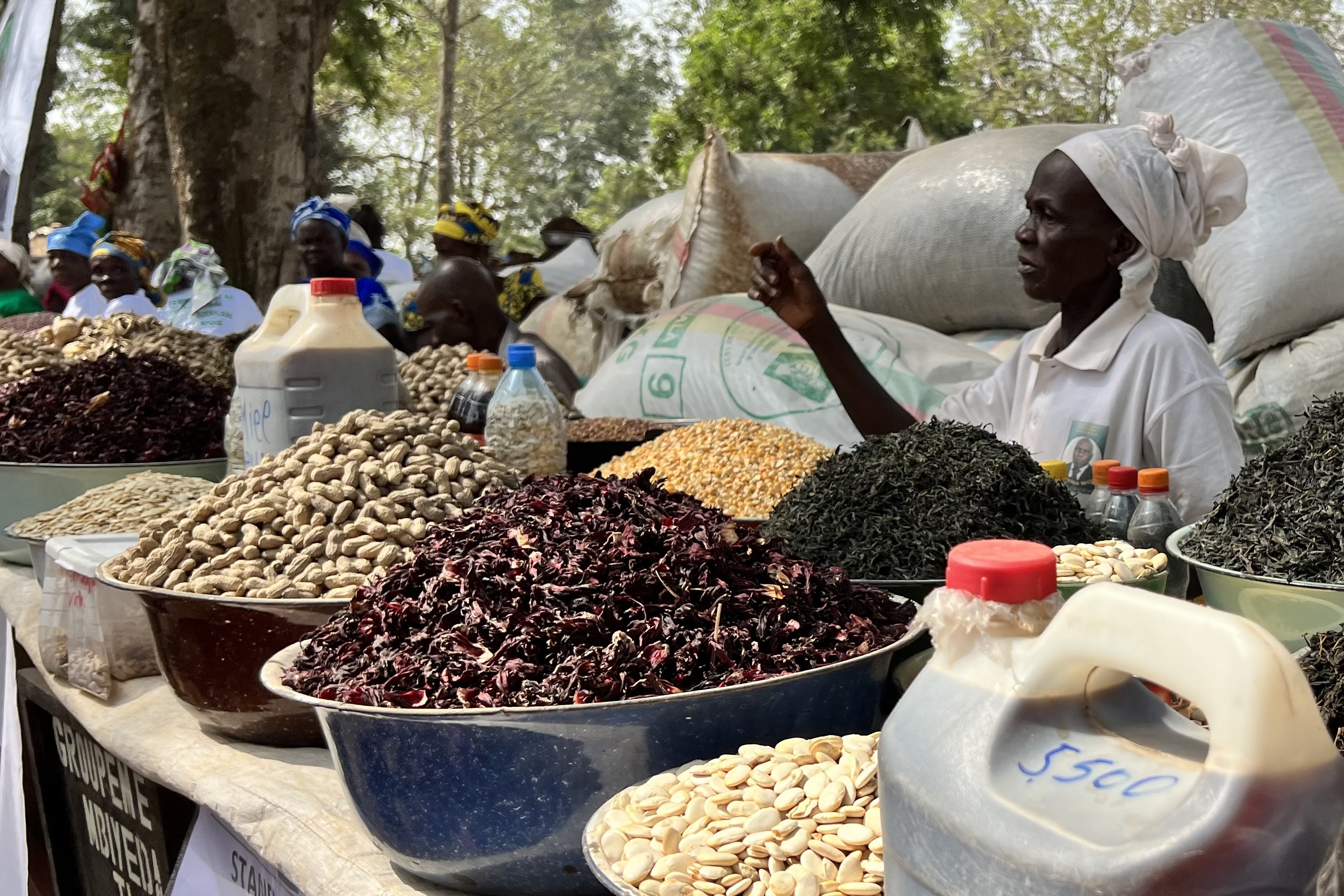 centrafrique-am-liorer-la-production-des-femmes-rurales-pour-favoriser