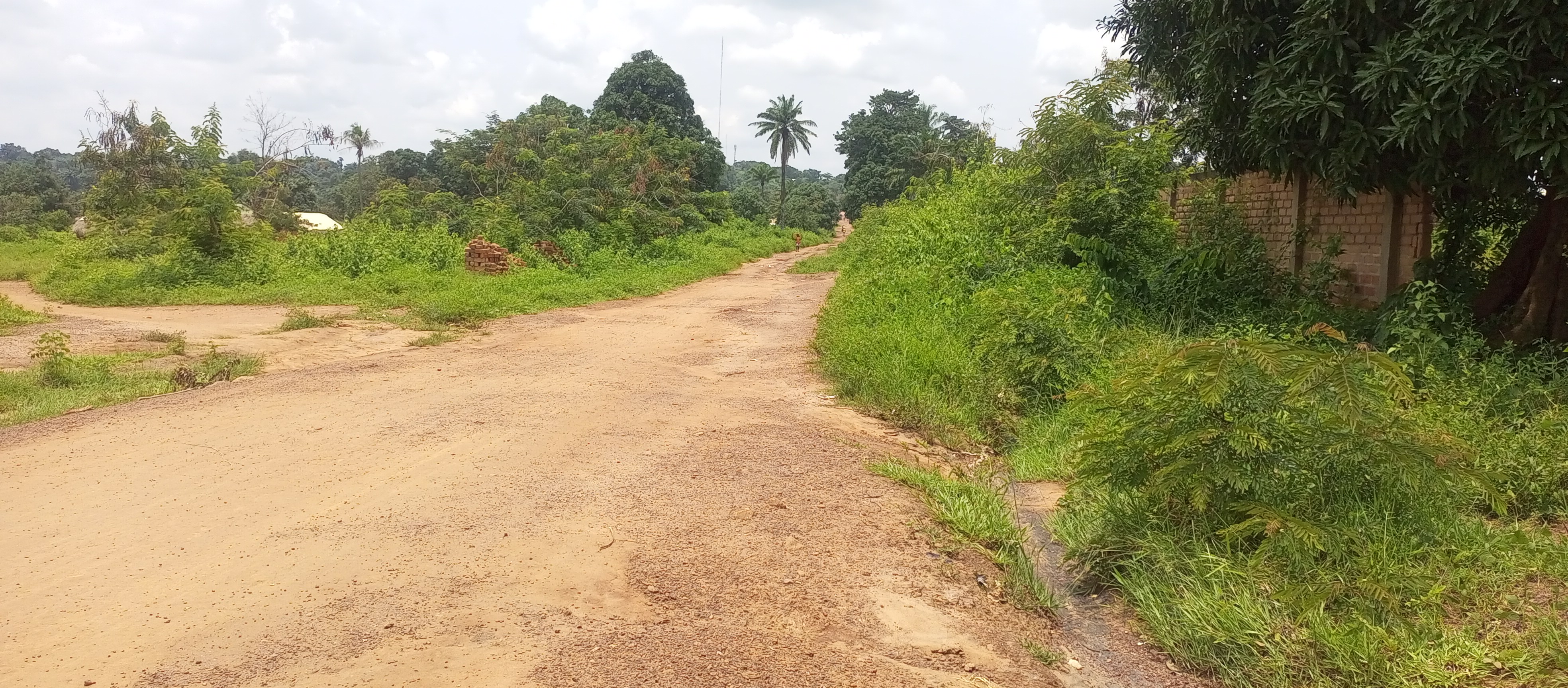 Centrafrique Insalubrit Obo Et Ses Cons quences centrafrique-insalubrit-obo-et-ses-cons-quences
